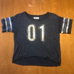 Hollister 01 Sequin Gray Crop Top